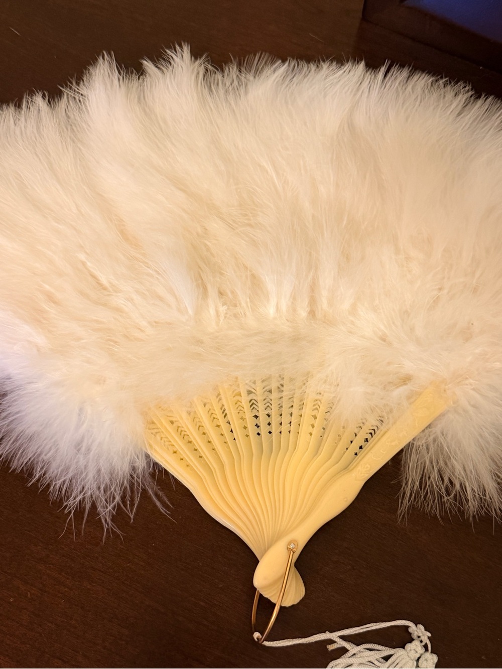 Vintage Feather Hand Fan -